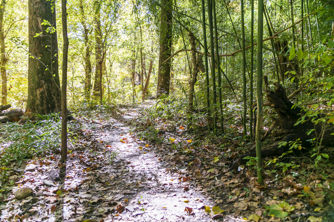 North Branch Trail and Kengla Trail