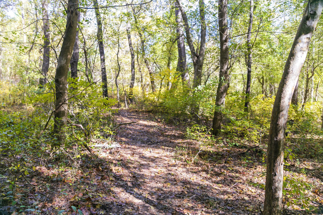 Trail Upper Rock Creek Trail