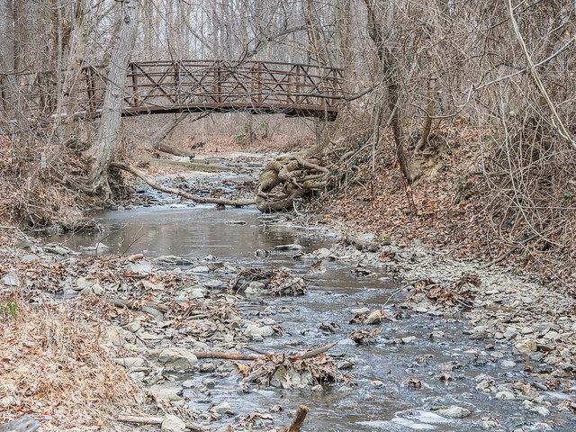 Sligo Creek Stream Valley Park