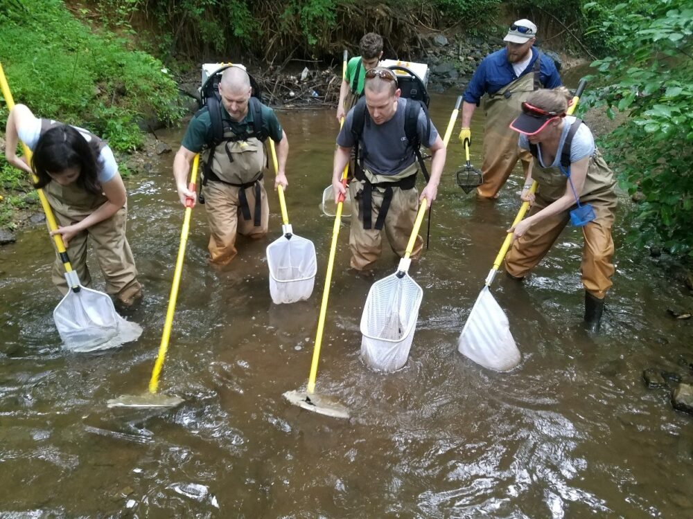 Electrofishing 1