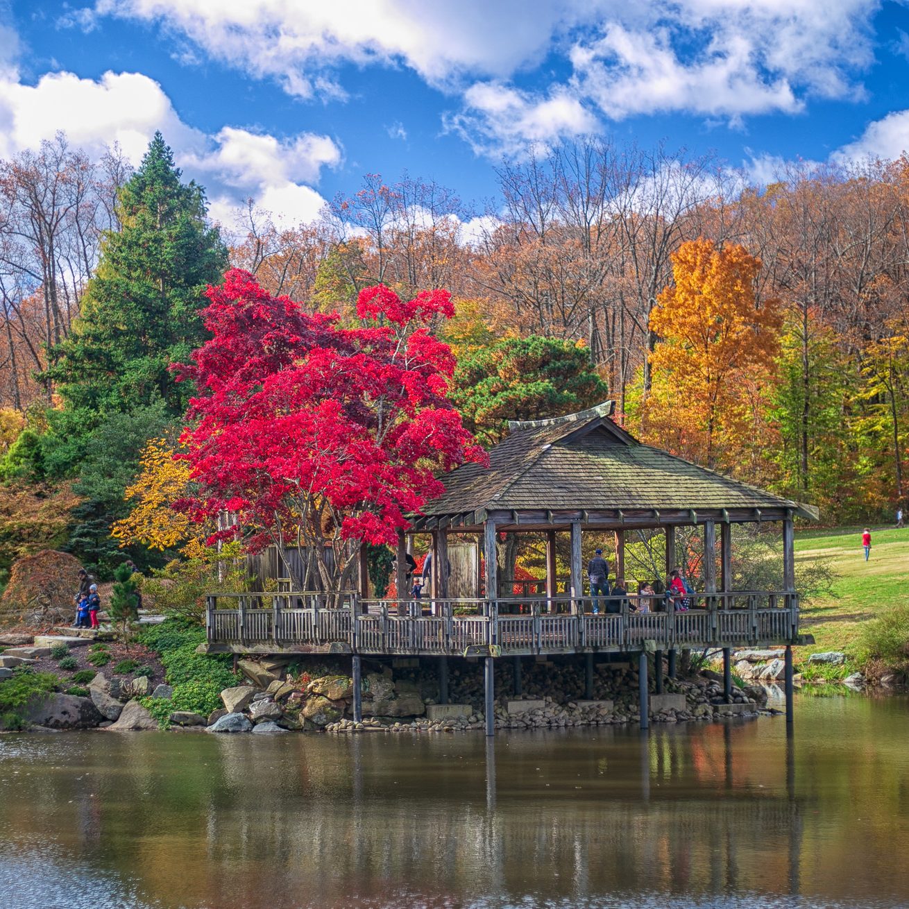 Brookside Gardens