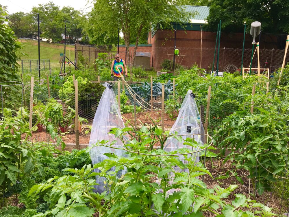 Long Branch Community Garden