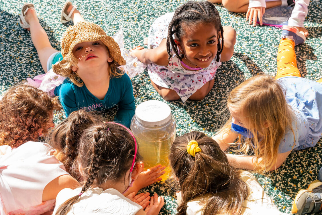 Children looking at tadpoles