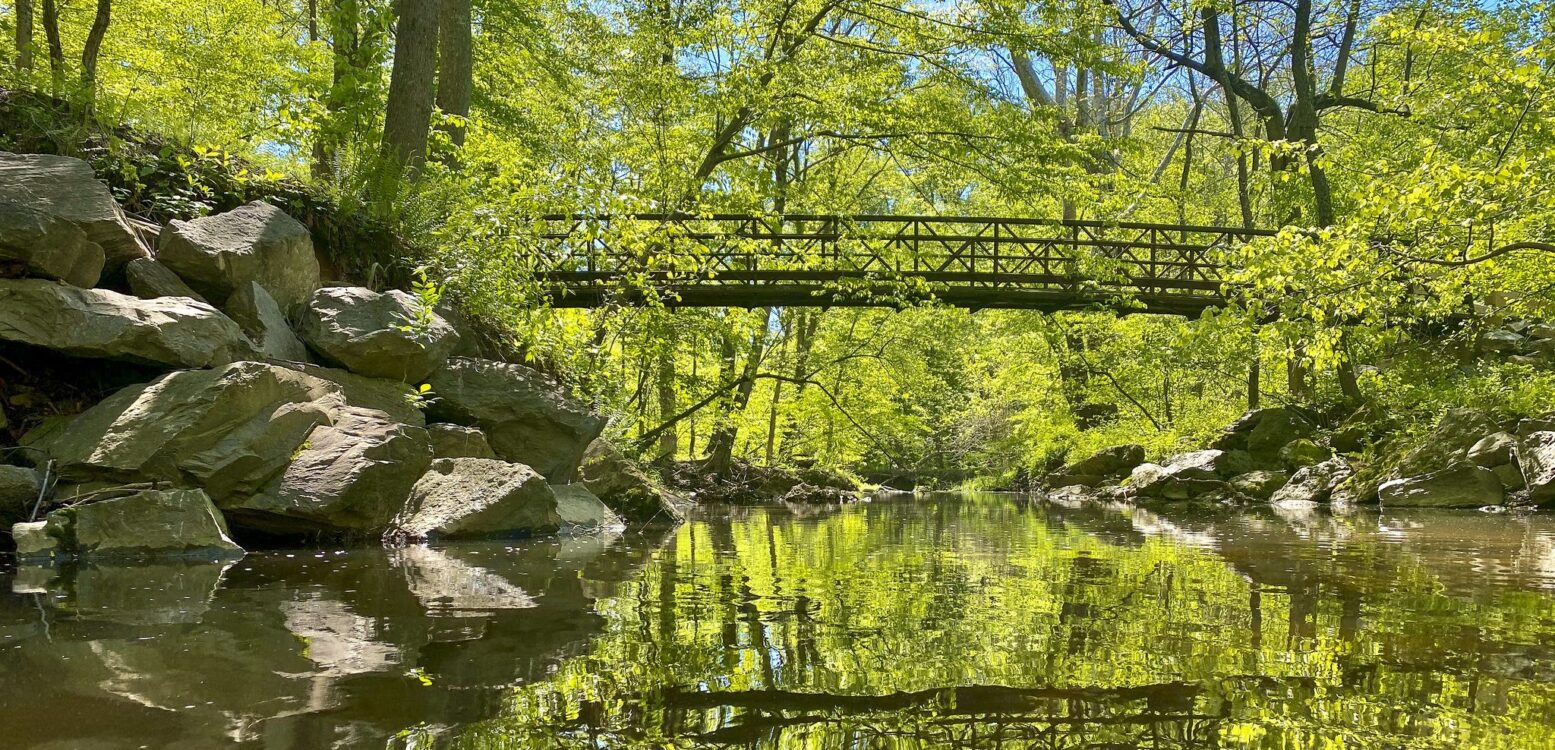 Tilden Woods Bridge