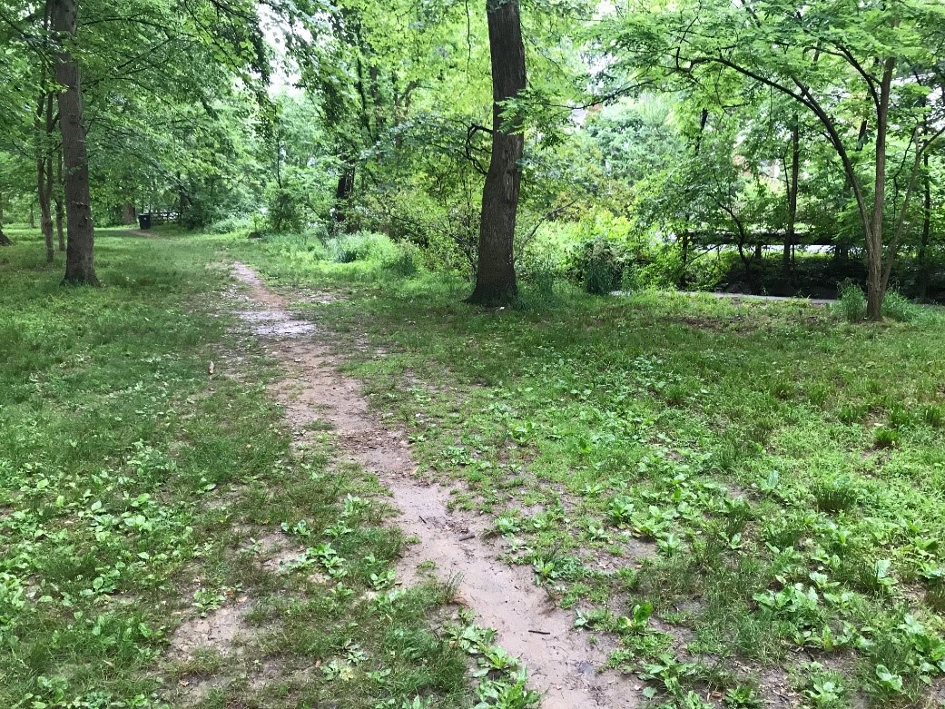 trail at long branch