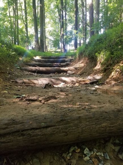 Muddy Branch Trail