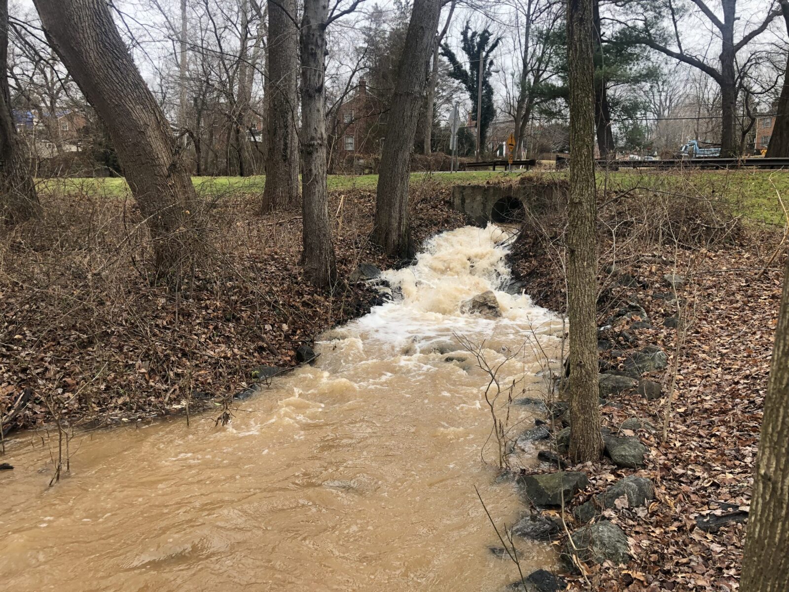 Watermain Bread