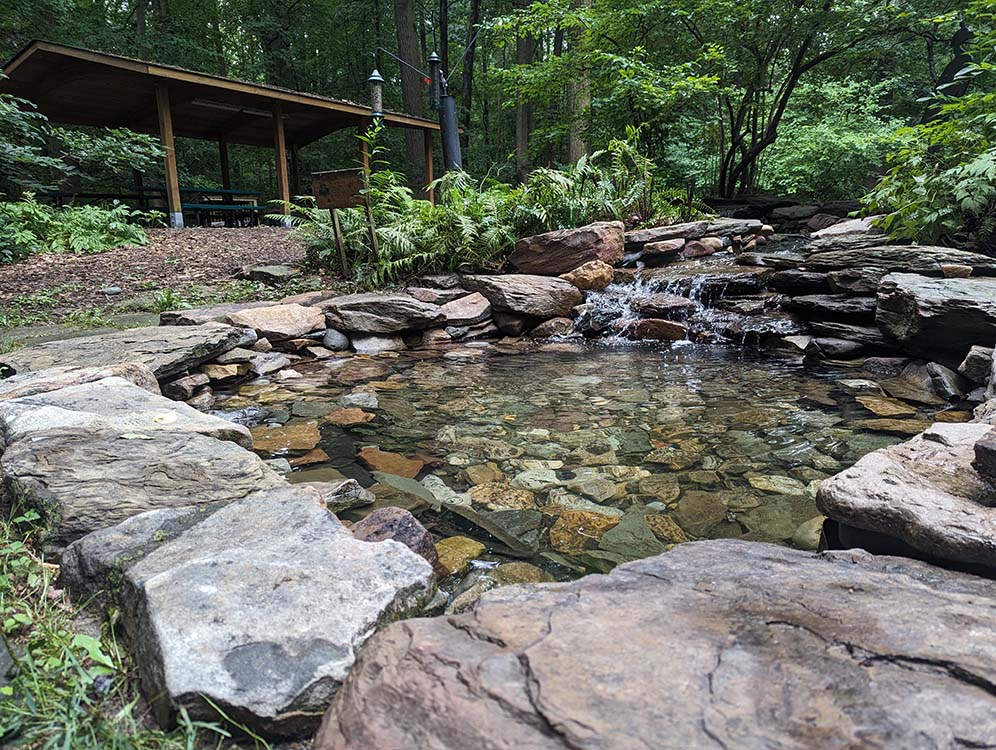 pond at brookside nature center