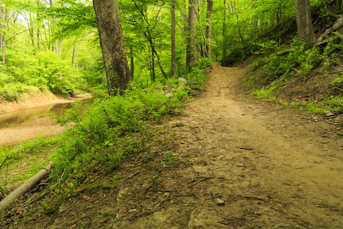 Cabin John Trail