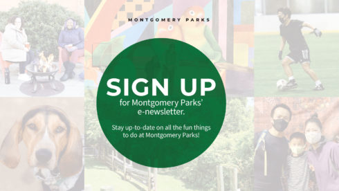 sign up for Parks Newsletter 