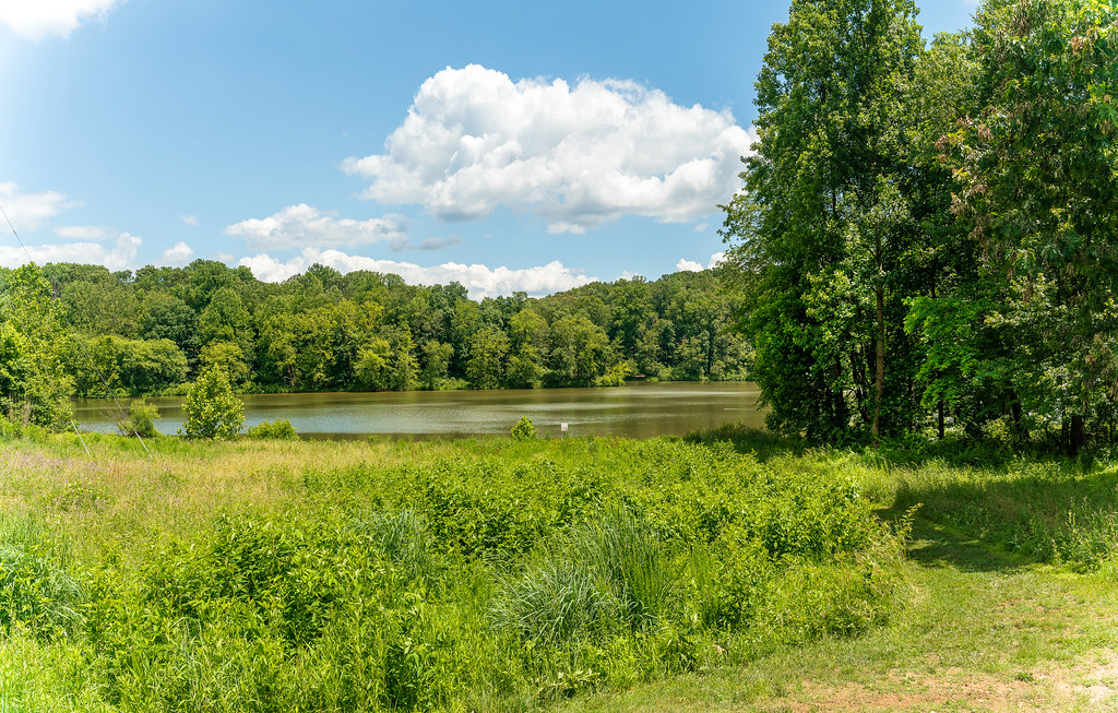 Lake Needwood