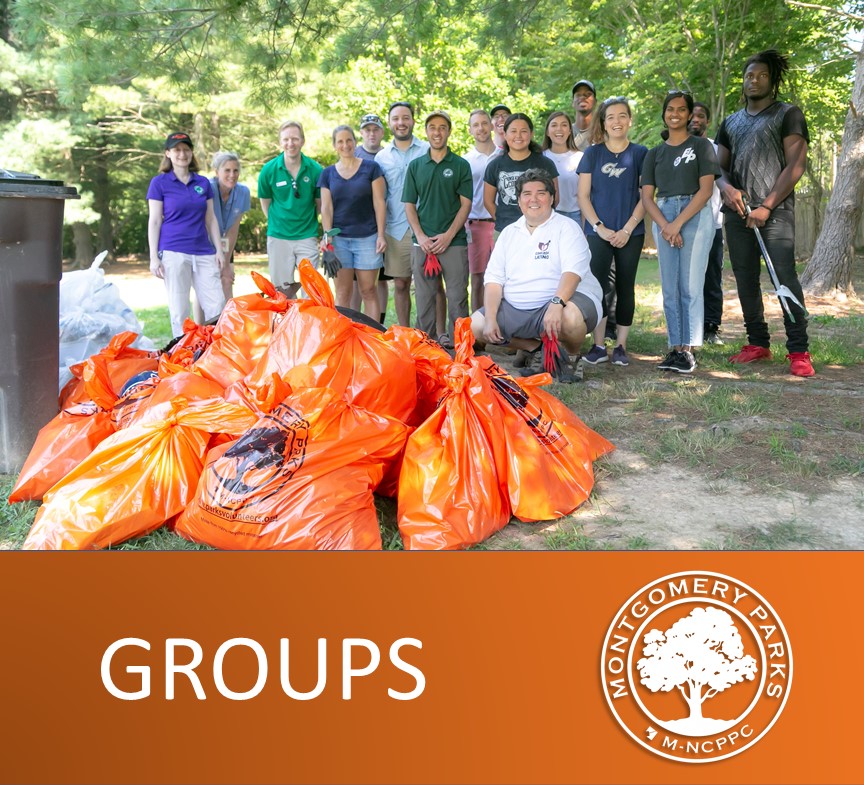 volunteers at trash cleanup 