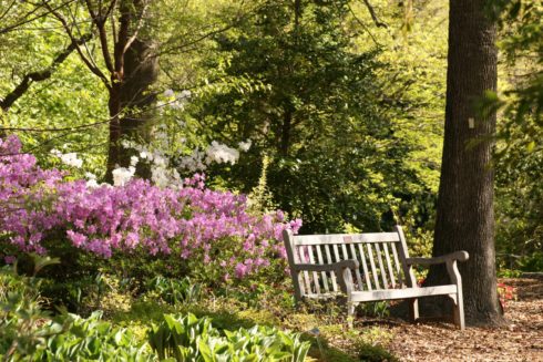 Tribute Bench Brookside Gardens