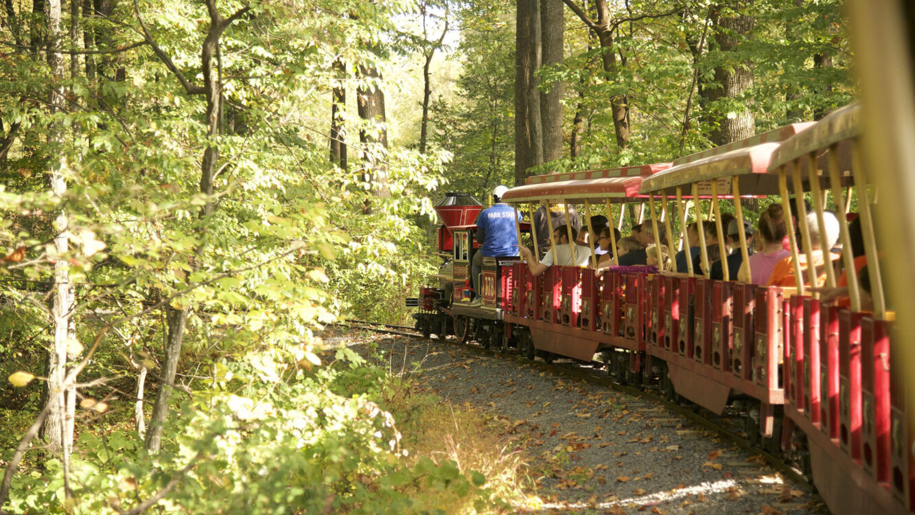 Cabin John Train