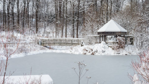 snow at Brookside Gardens