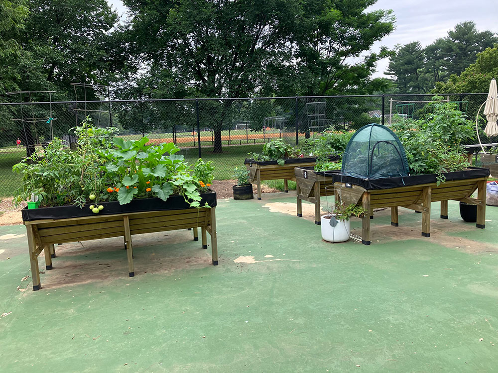 nolte community garden raised beds