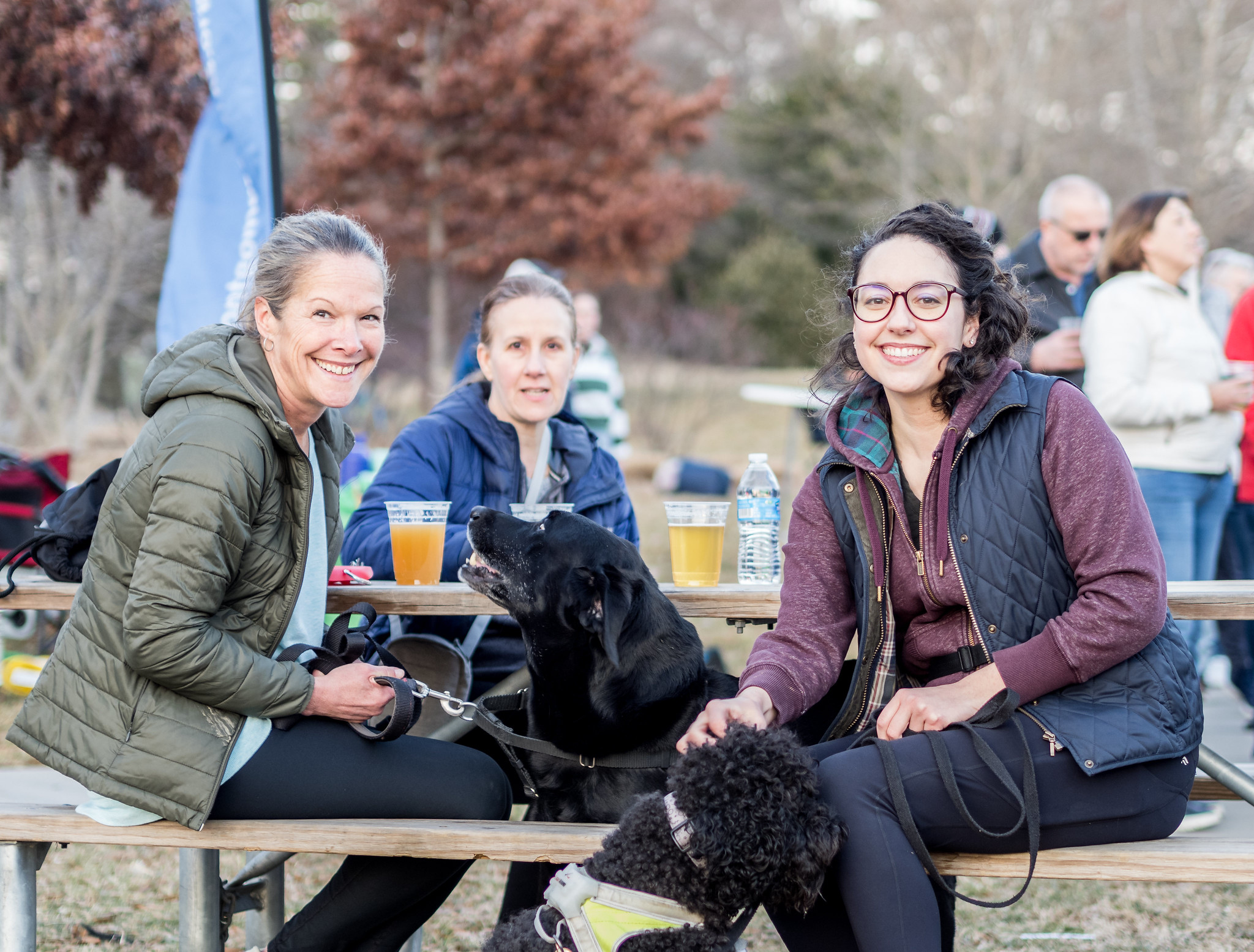 Three adults sitting at a picnic table. There are two dogs. The adults have cups of beer on top of the table.