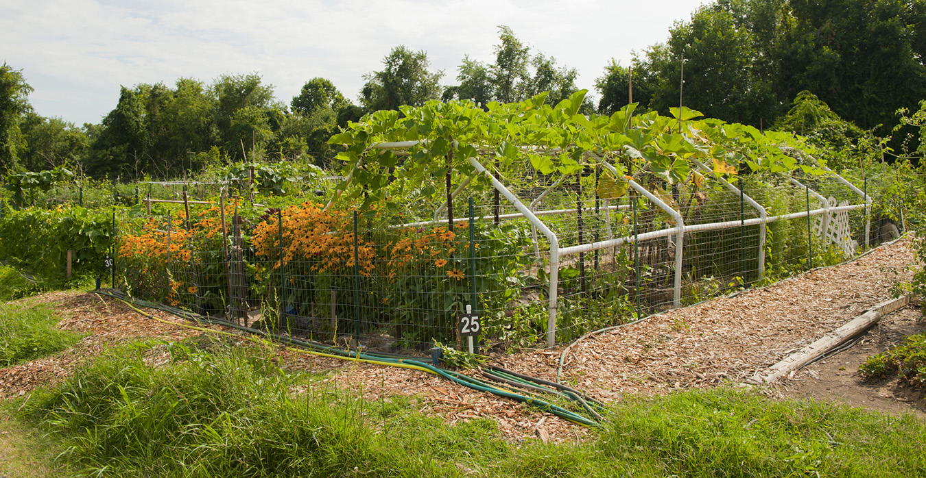 Briggs Chaney community garden