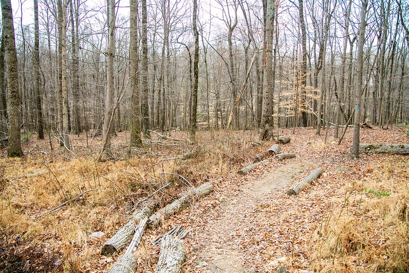 clarkmont stream valley park