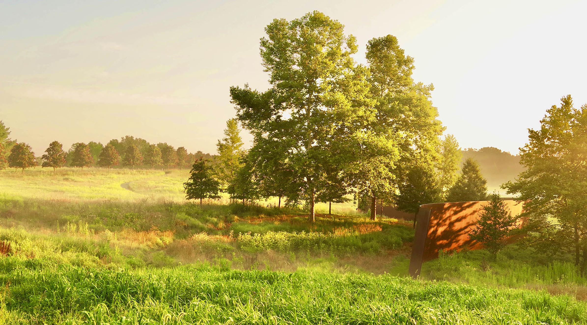 A meadow with naturalized native plants and trees in the background and a rusted metal fence. Image is taken at Glenstone Museum