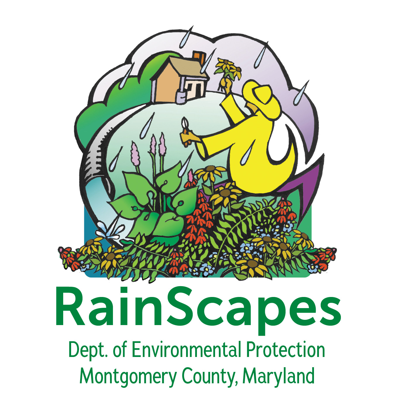 Logo for the Montgomery County Department of Environmental Protection's RainScape program