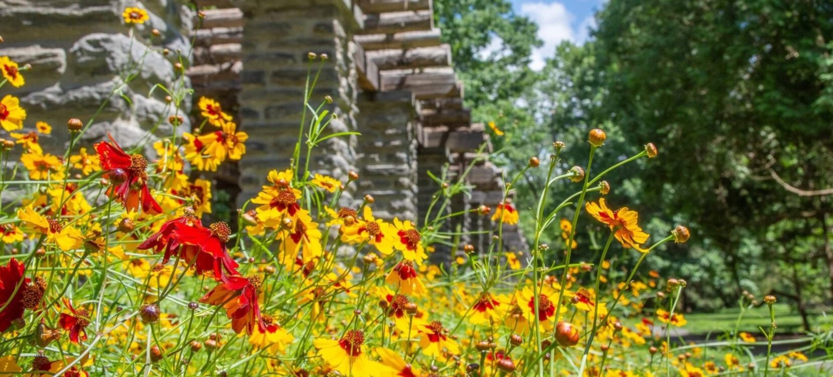 Red echinecea coneflowers and red and orange coreopsis flowers in the gardens of Stoneleigh Garden