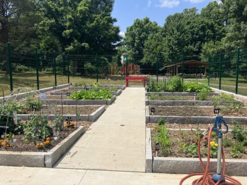 Garden plots at Edgewood Community Garden