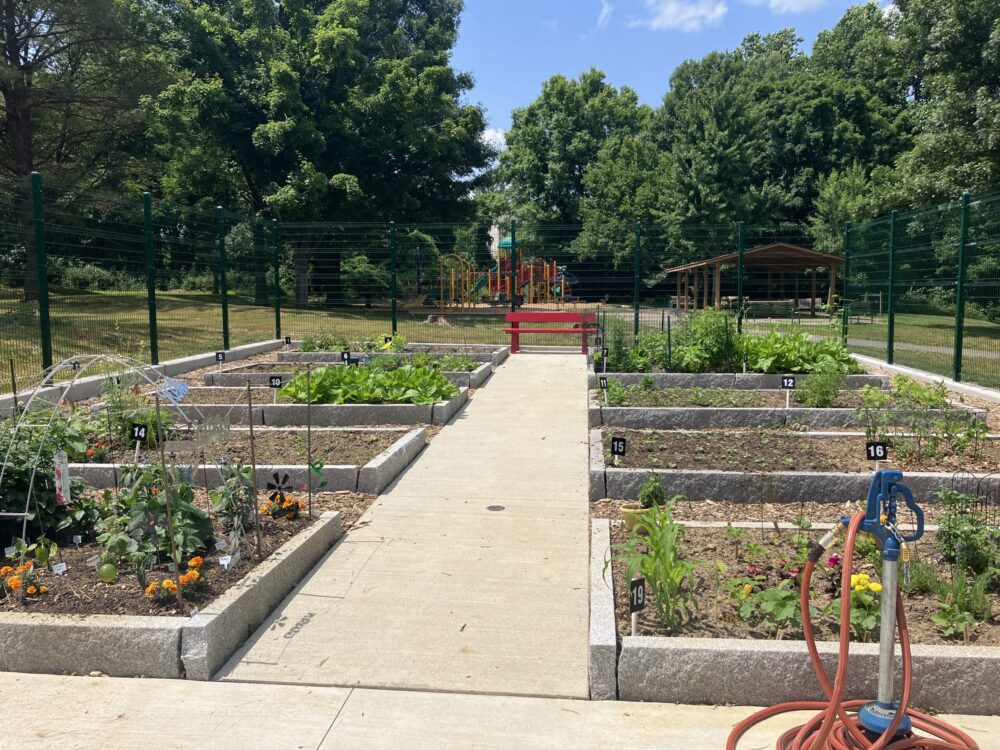 Edgewood Community Garden