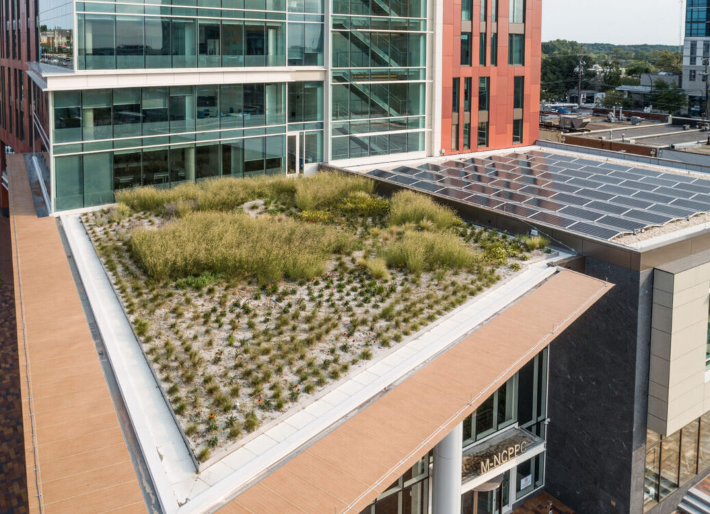 solar panels wheaton hq