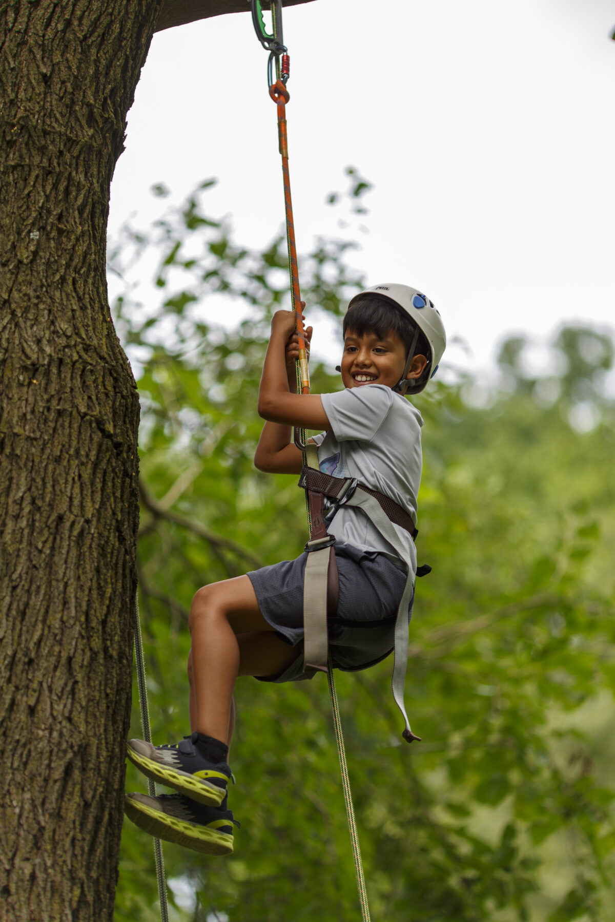 Kids Tree Climbing