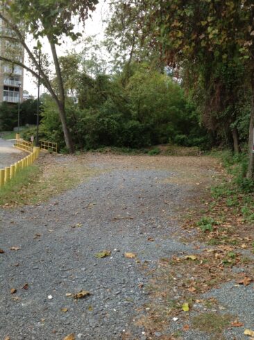 River Road Cemetery at P177 photo