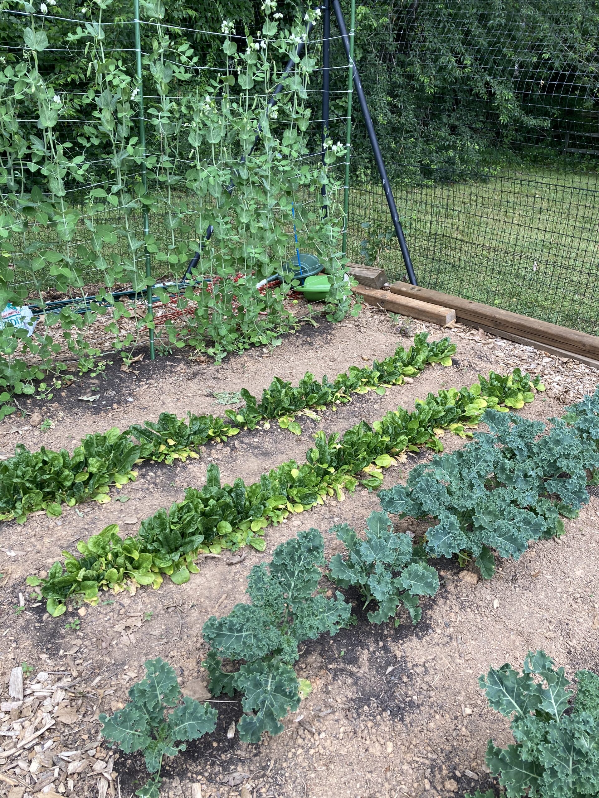 Brink Road Community Garden