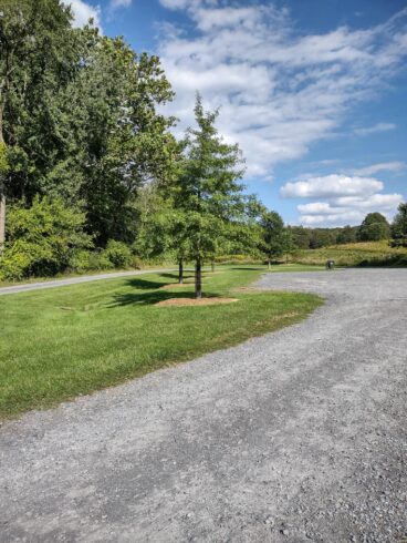 View of approximate location to the Dwyer Family Cemetery