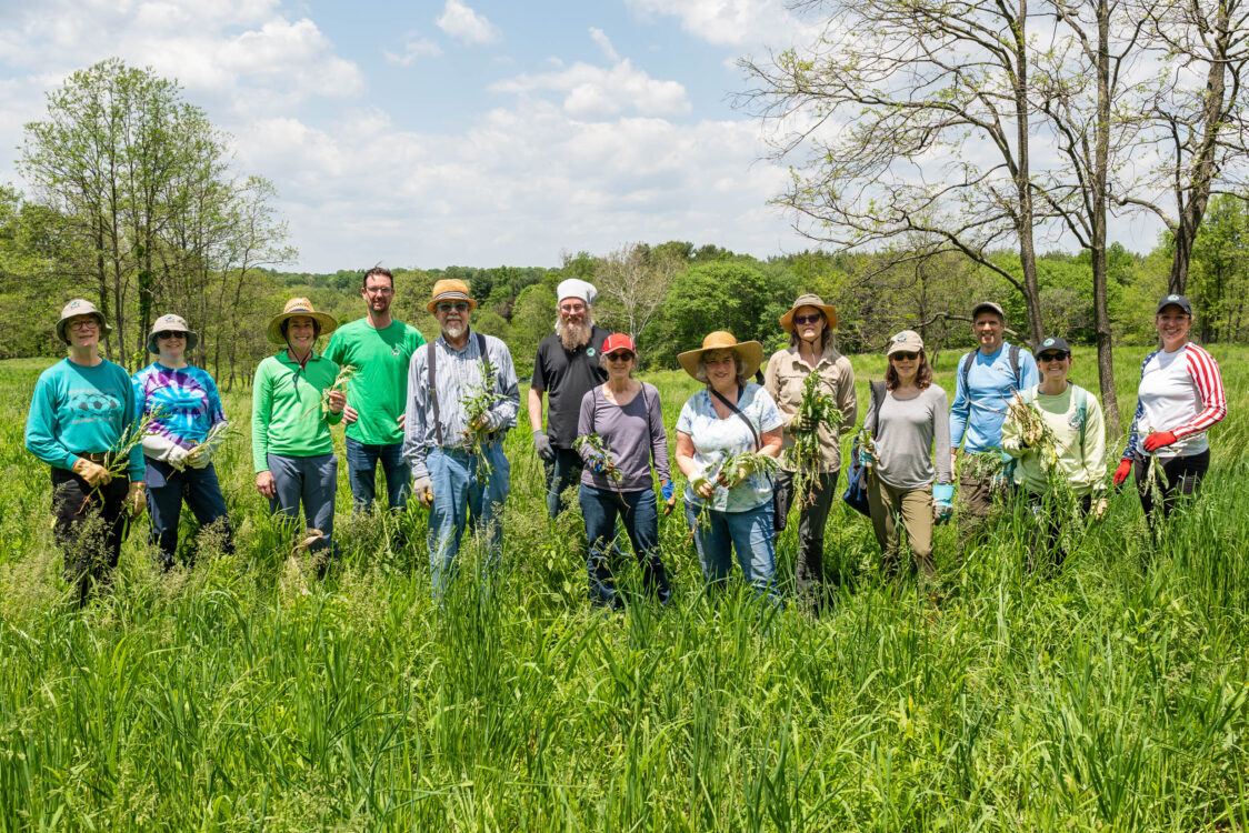 Group of volunteers standing in meadow holding weeds they pulled.