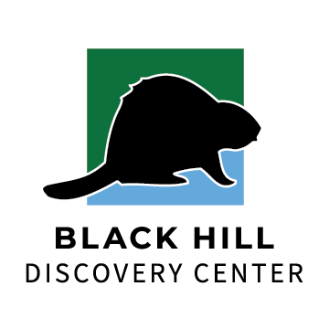 Black Hill Discovery Center - Logo Square