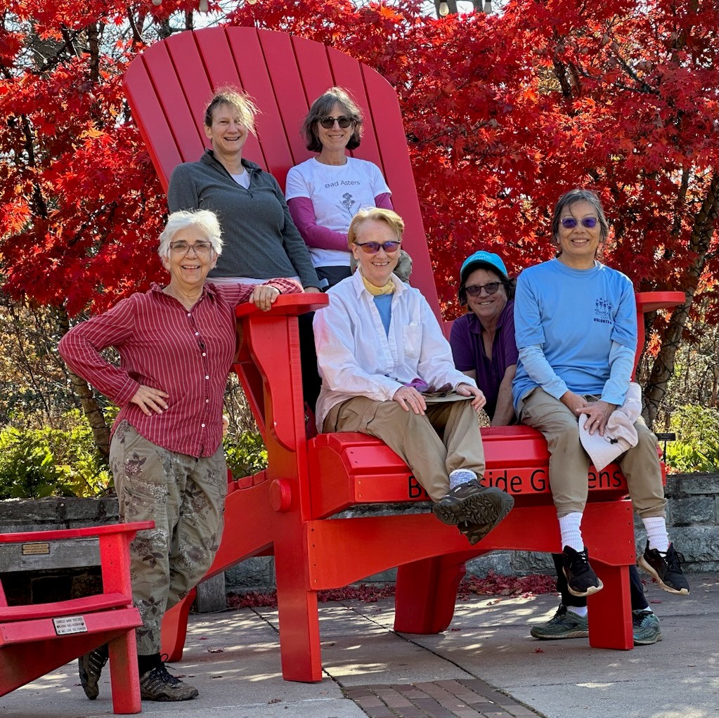 volunteers in red chair