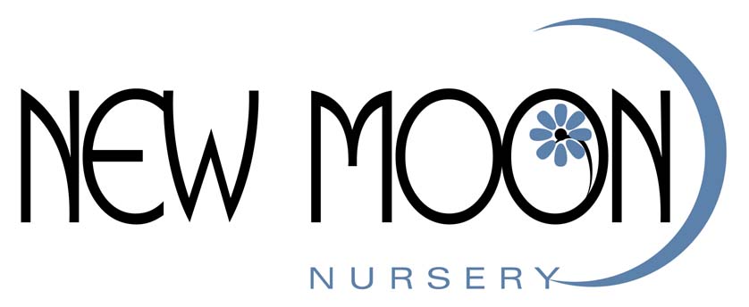 New Moon Nursery