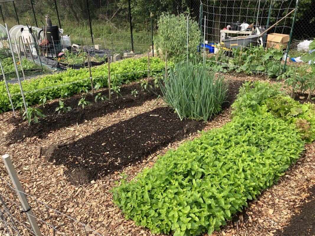 Briggs Chaney Community Garden