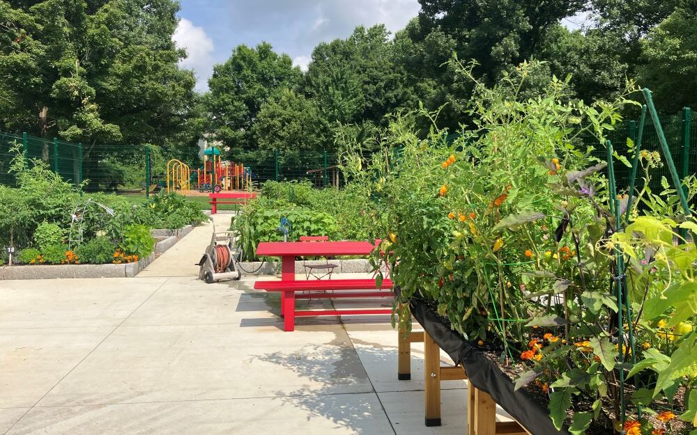 Edgewood-community-garden