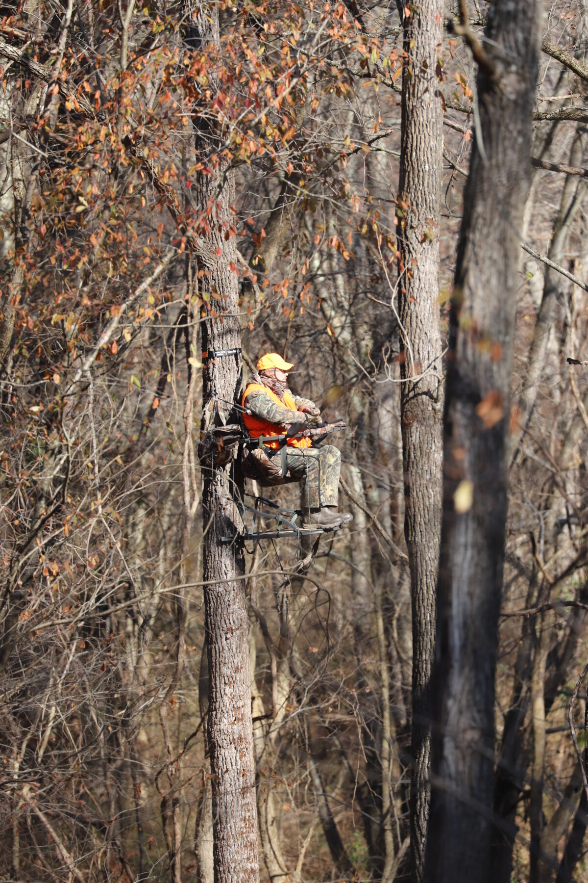 A hunter sitting in a tree