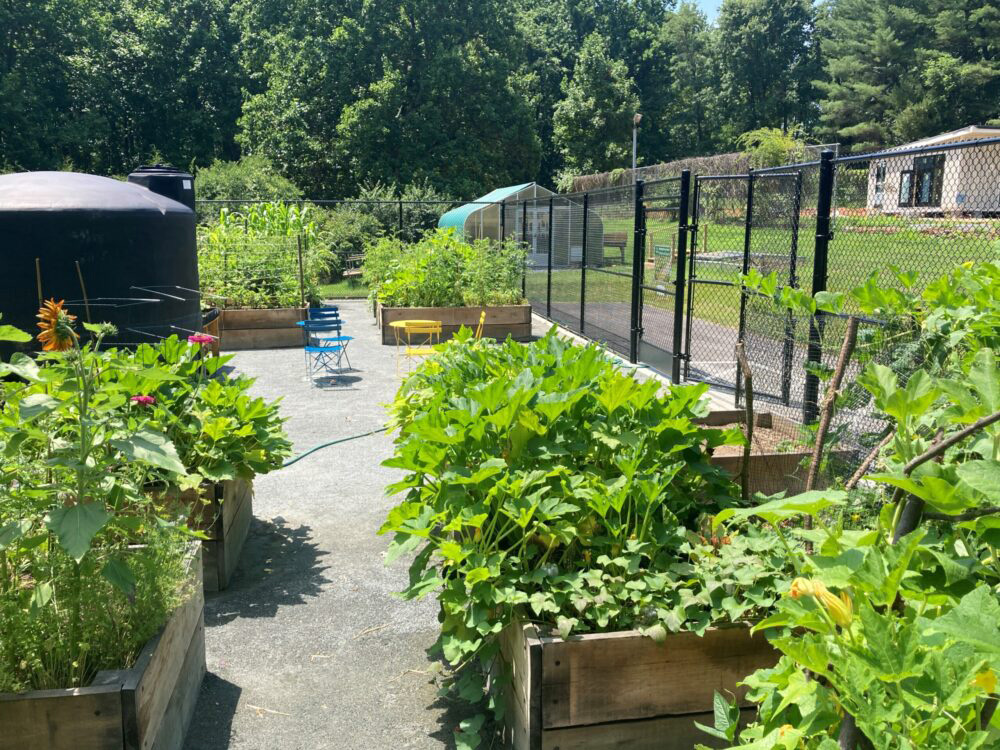 black hill community garden