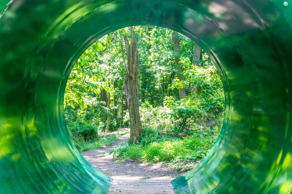 Looking through a green cylindrical tunnel in the forest