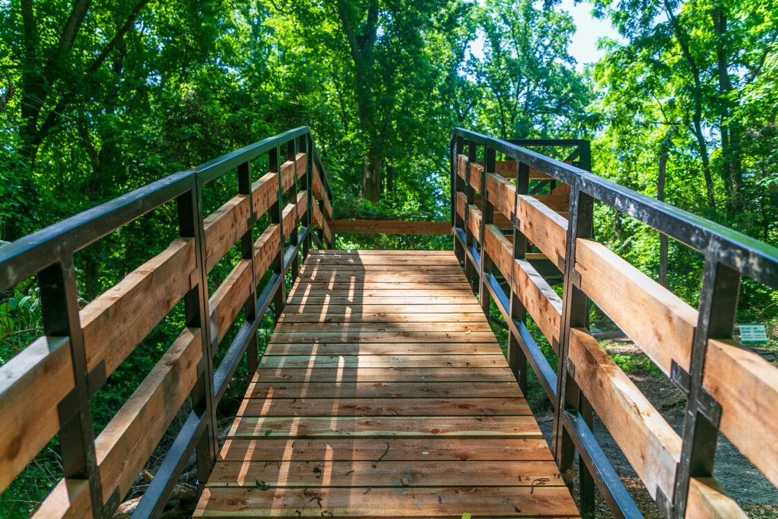 Looking up a wooden ramp to the beginning of a start ramp