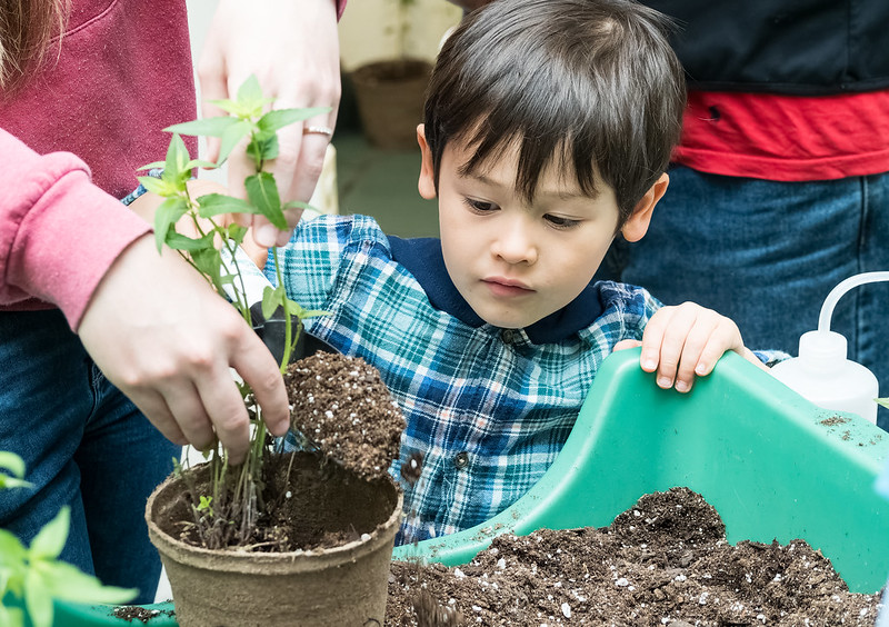 A child planting