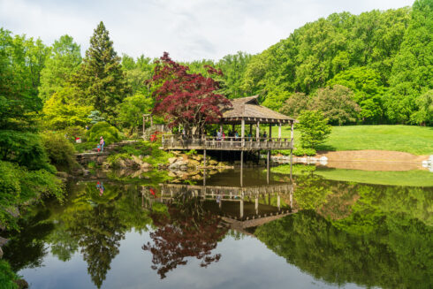 The Teahouse in the distance