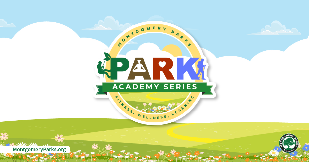 Park academy series graphic with logo floating above grassy and sunny plain