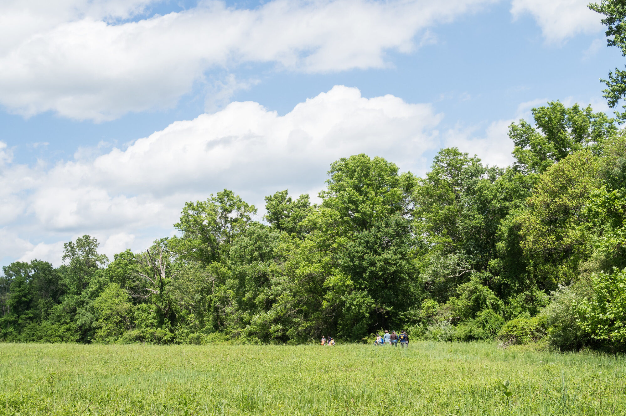 A group walking in a green field