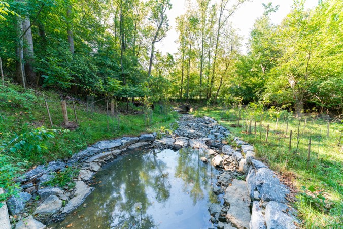 An "after" photo of a channel naturalization project. There is a natural channel with trees planted on either side.